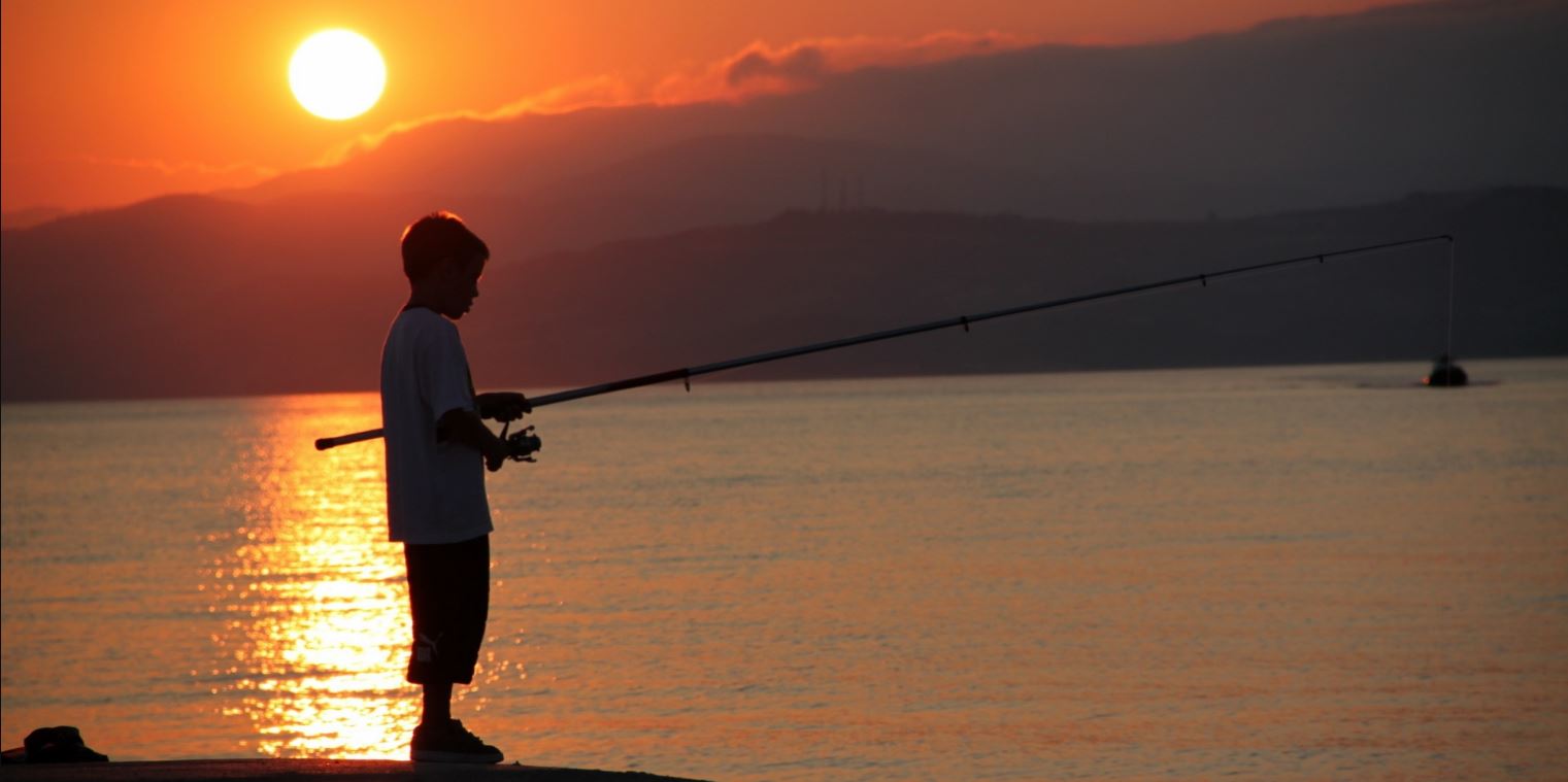 T. Ágoston László: Aranyka