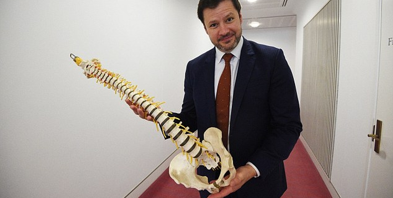 T. Ágoston László: Homo Politicus